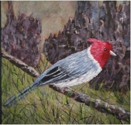 Red-Headed Cardinal In Paradise